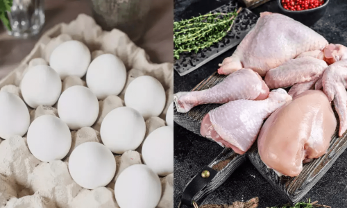 eggormeat